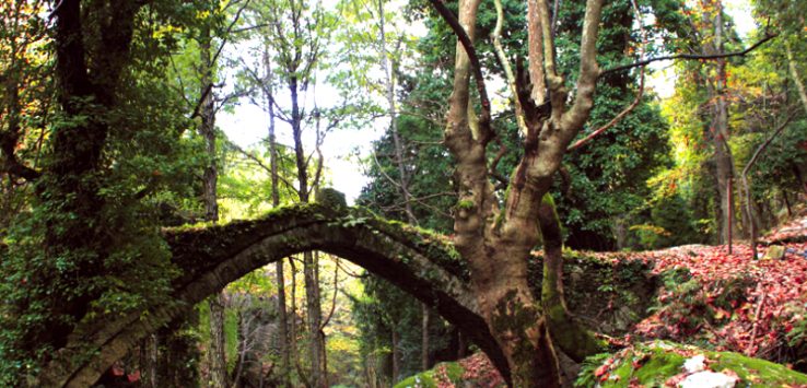 unnamed-file-1-738x355